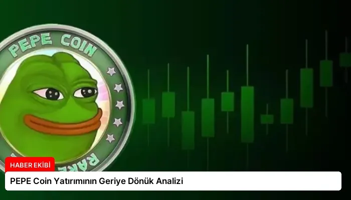 PEPE Coin Yatırımının Geriye Dönük Analizi