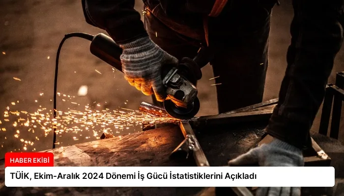 TÜİK, Ekim-Aralık 2024 Dönemi İş Gücü İstatistiklerini Açıkladı