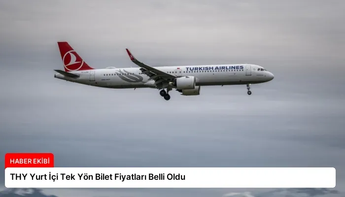 THY Yurt İçi Tek Yön Bilet Fiyatları Belli Oldu