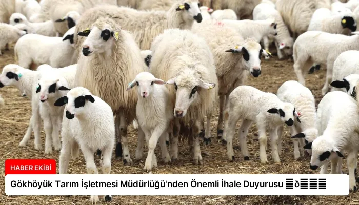 Gökhöyük Tarım İşletmesi Müdürlüğü’nden Önemli İhale Duyurusu ⏬👇