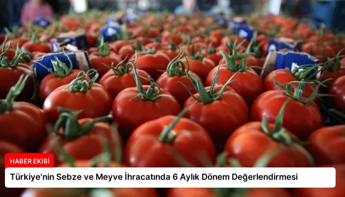 Türkiye’nin Sebze ve Meyve İhracatında 6 Aylık Dönem Değerlendirmesi