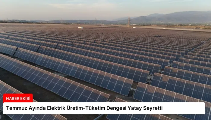 Temmuz Ayında Elektrik Üretim-Tüketim Dengesi Yatay Seyretti