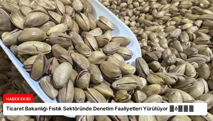 Ticaret Bakanlığı Fıstık Sektöründe Denetim Faaliyetleri Yürütüyor ⏬👇