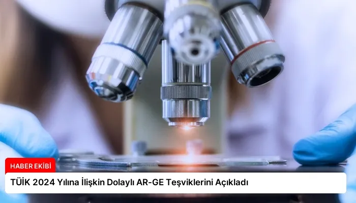 TÜİK 2024 Yılına İlişkin Dolaylı AR-GE Teşviklerini Açıkladı