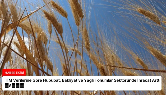 TİM Verilerine Göre Hububat, Bakliyat ve Yağlı Tohumlar Sektöründe İhracat Arttı ⏬👇