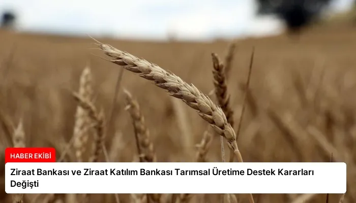 Ziraat Bankası ve Ziraat Katılım Bankası Tarımsal Üretime Destek Kararları Değişti