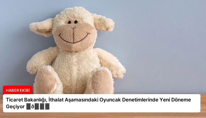 Ticaret Bakanlığı, İthalat Aşamasındaki Oyuncak Denetimlerinde Yeni Döneme Geçiyor ⏬👇
