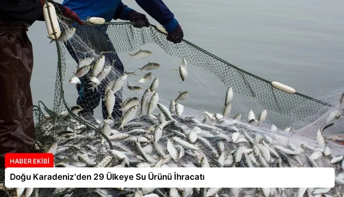 Doğu Karadeniz’den 29 Ülkeye Su Ürünü İhracatı