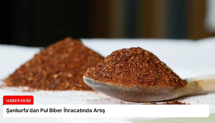 Şanlıurfa’dan Pul Biber İhracatında Artış