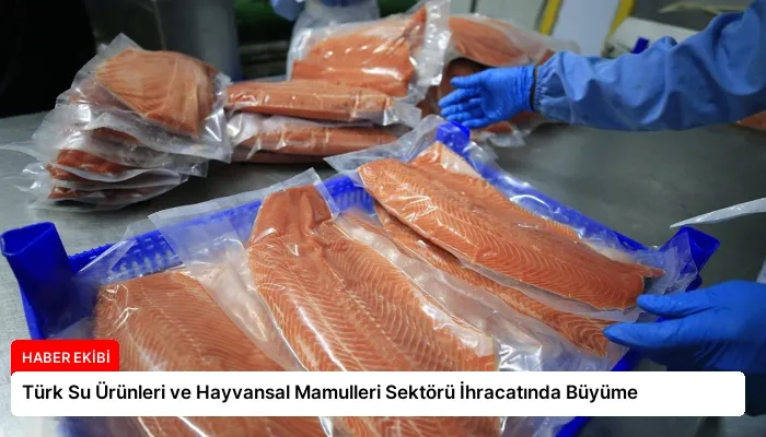 Türk Su Ürünleri ve Hayvansal Mamulleri Sektörü İhracatında Büyüme