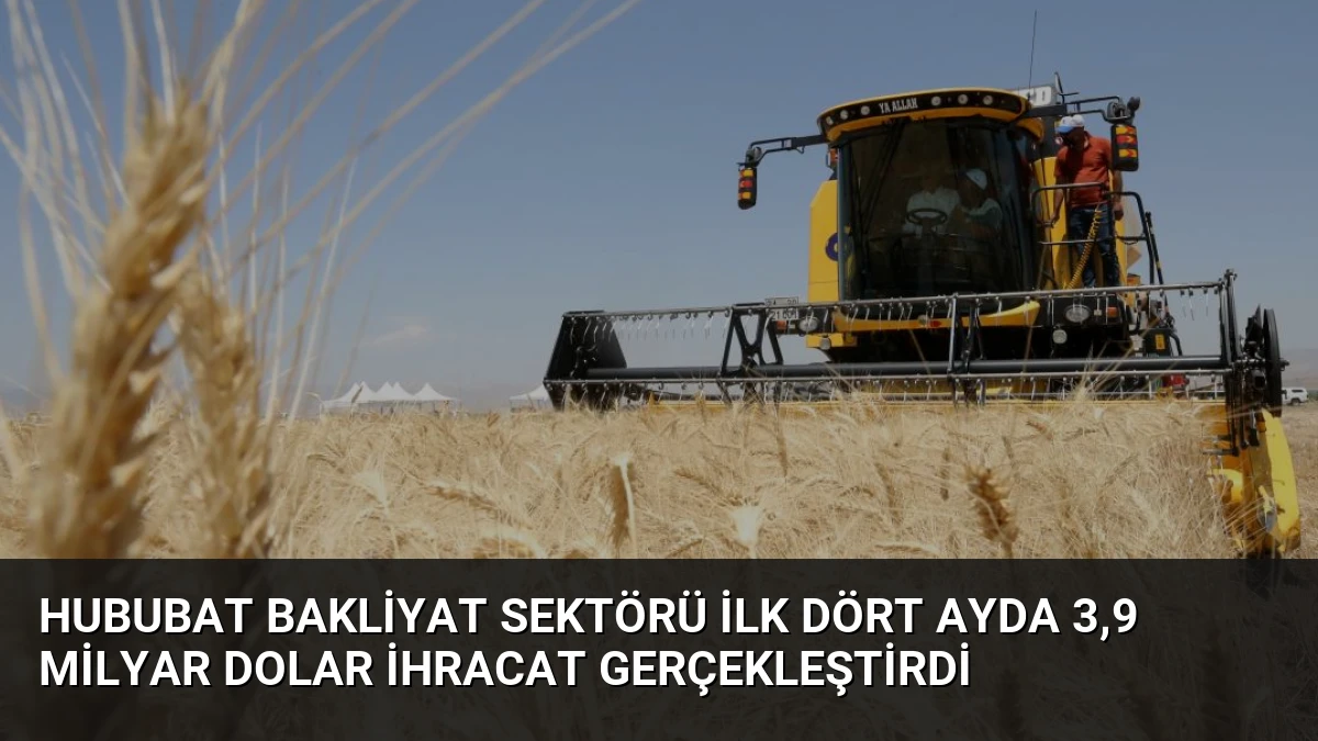 Hububat Bakliyat Sektörü İlk Dört Ayda 3,9 Milyar Dolar İhracat Gerçekleştirdi