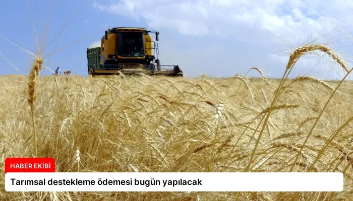 Tarımsal destekleme ödemesi bugün yapılacak