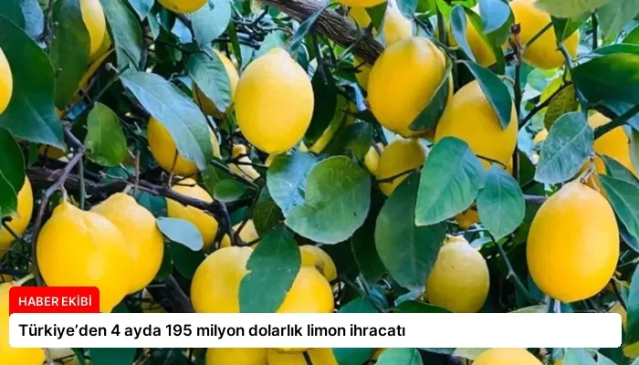 Türkiye’den 4 ayda 195 milyon dolarlık limon ihracatı