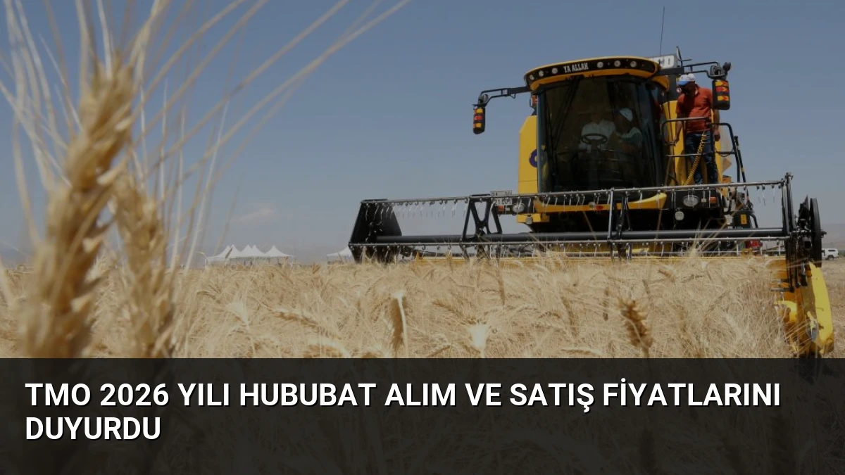 TMO 2026 Yılı Hububat Alım ve Satış Fiyatlarını Duyurdu