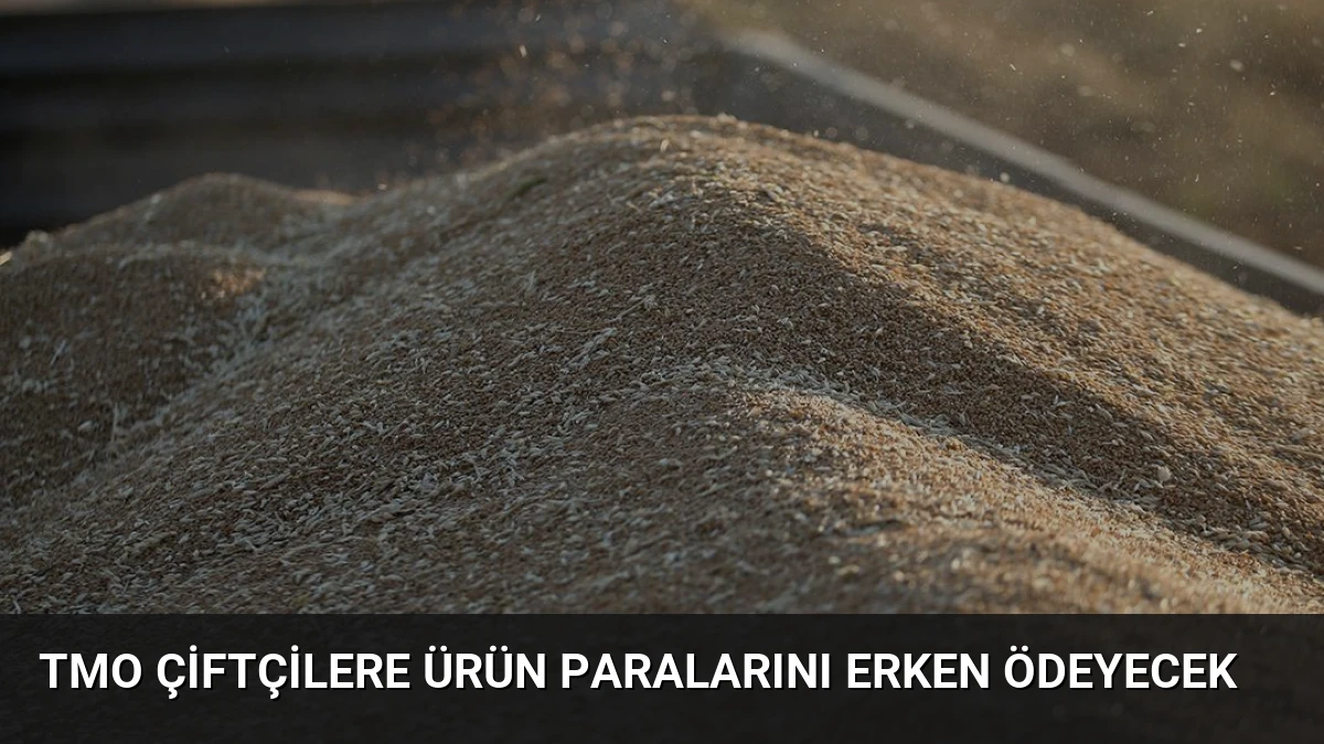 TMO Çiftçilere Ürün Paralarını Erken Ödeyecek