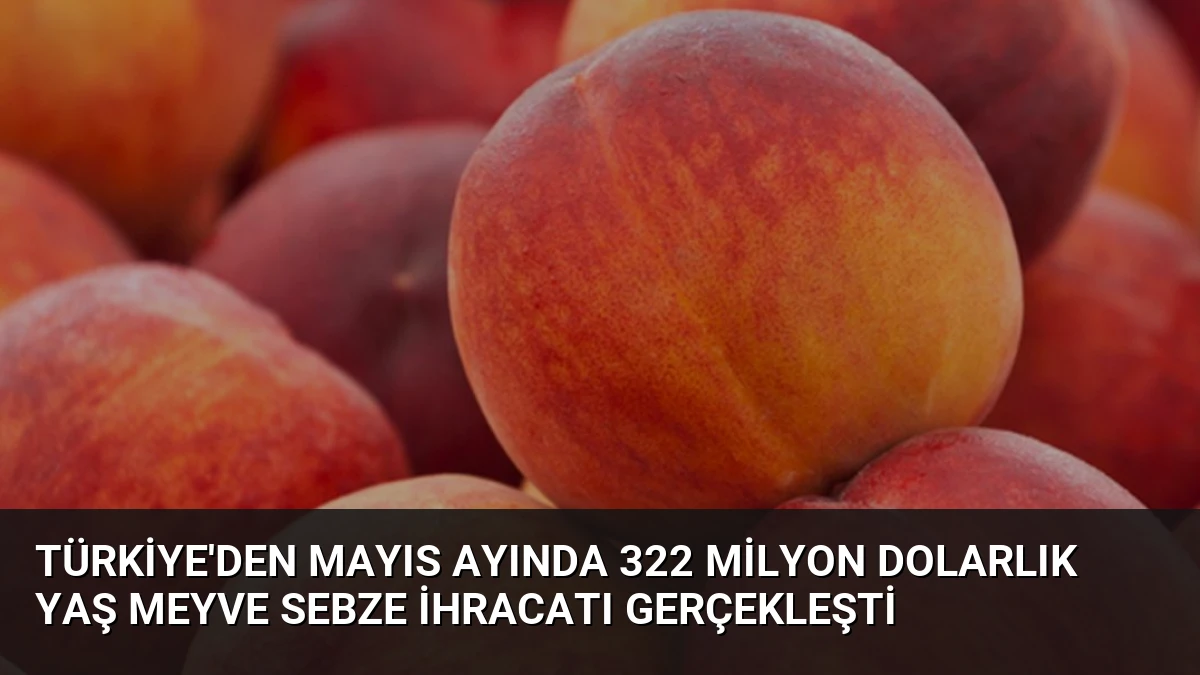 Türkiye’den Mayıs Ayında 322 Milyon Dolarlık Yaş Meyve Sebze İhracatı Gerçekleşti