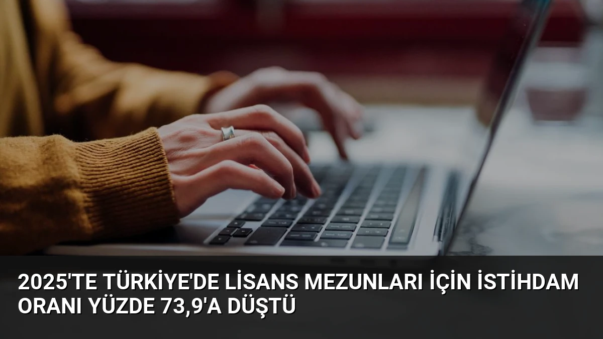2025’te Türkiye’de Lisans Mezunları İçin İstihdam Oranı Yüzde 73,9’a Düştü