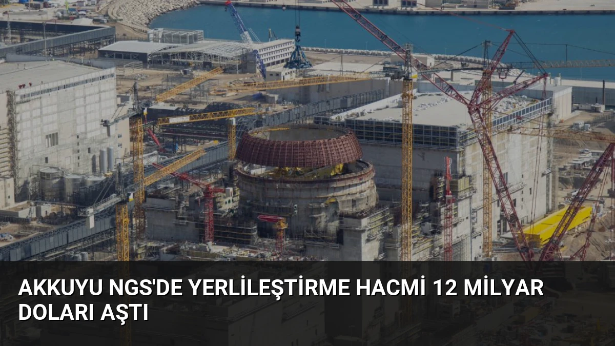 Akkuyu NGS’de Yerlileştirme Hacmi 12 Milyar Doları Aştı