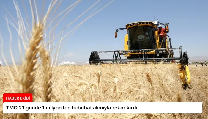 TMO 21 günde 1 milyon ton hububat alımıyla rekor kırdı