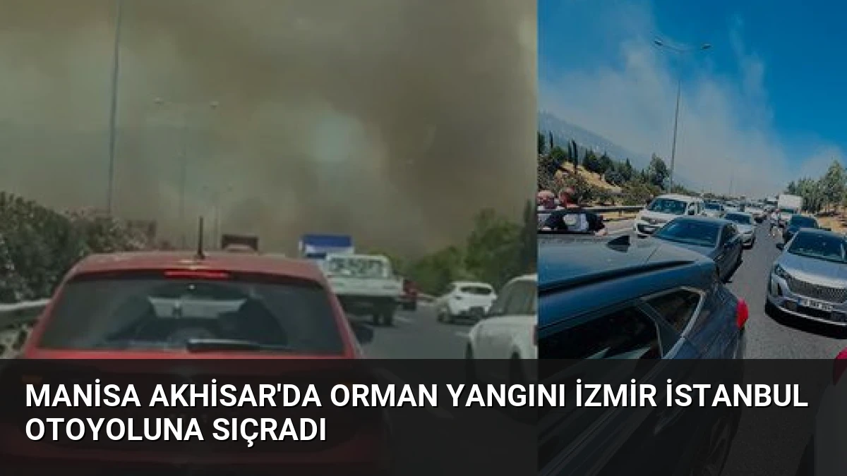 Manisa Akhisar’da Orman Yangını İzmir İstanbul Otoyoluna Sıçradı