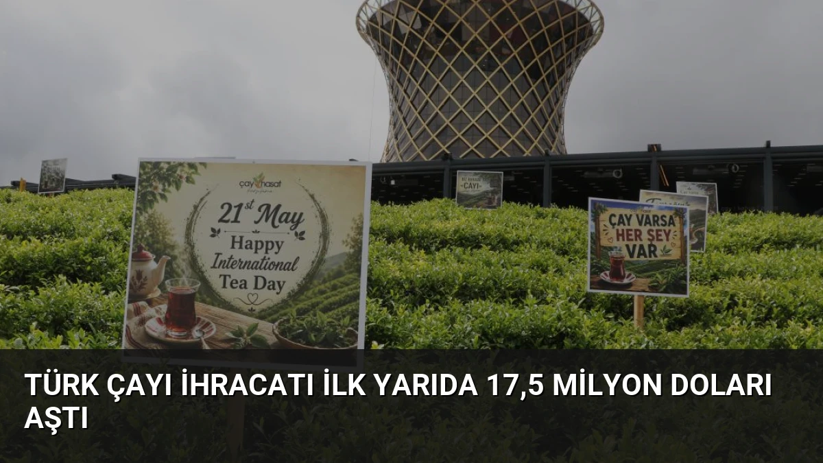Türk Çayı İhracatı İlk Yarıda 17,5 Milyon Doları Aştı