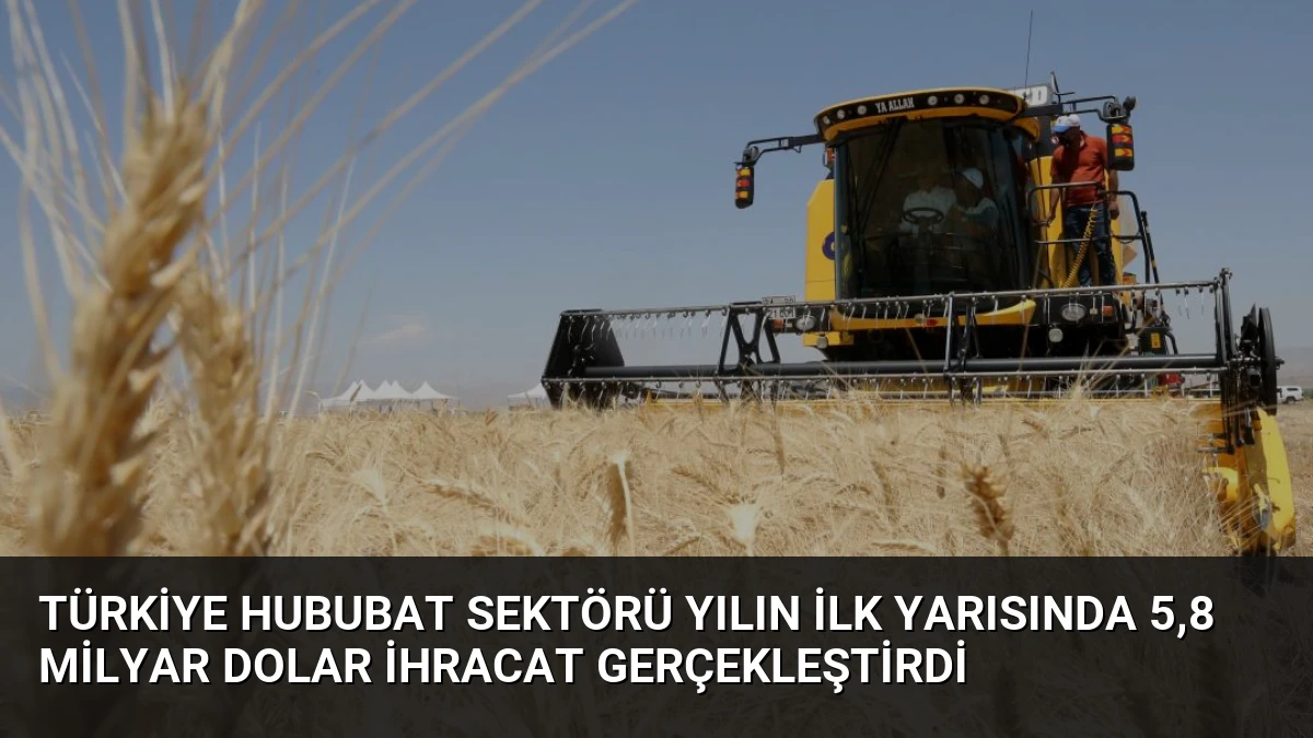 Türkiye Hububat Sektörü Yılın İlk Yarısında 5,8 Milyar Dolar İhracat Gerçekleştirdi