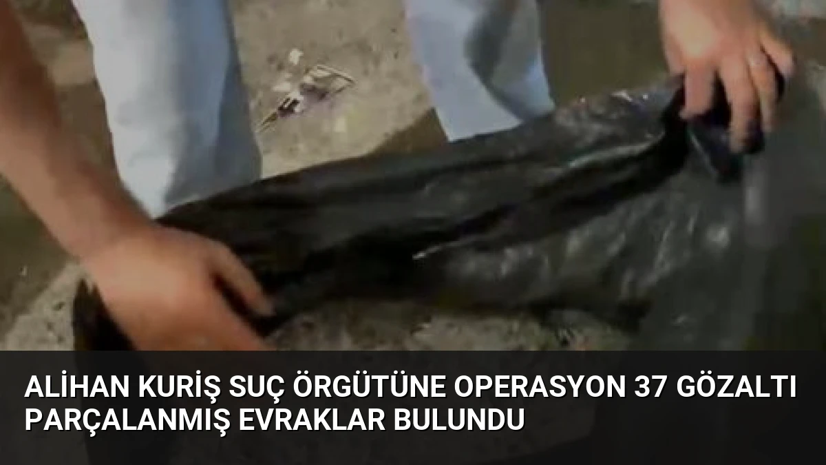 Alihan Kuriş Suç Örgütüne Operasyon 37 Gözaltı Parçalanmış Evraklar Bulundu