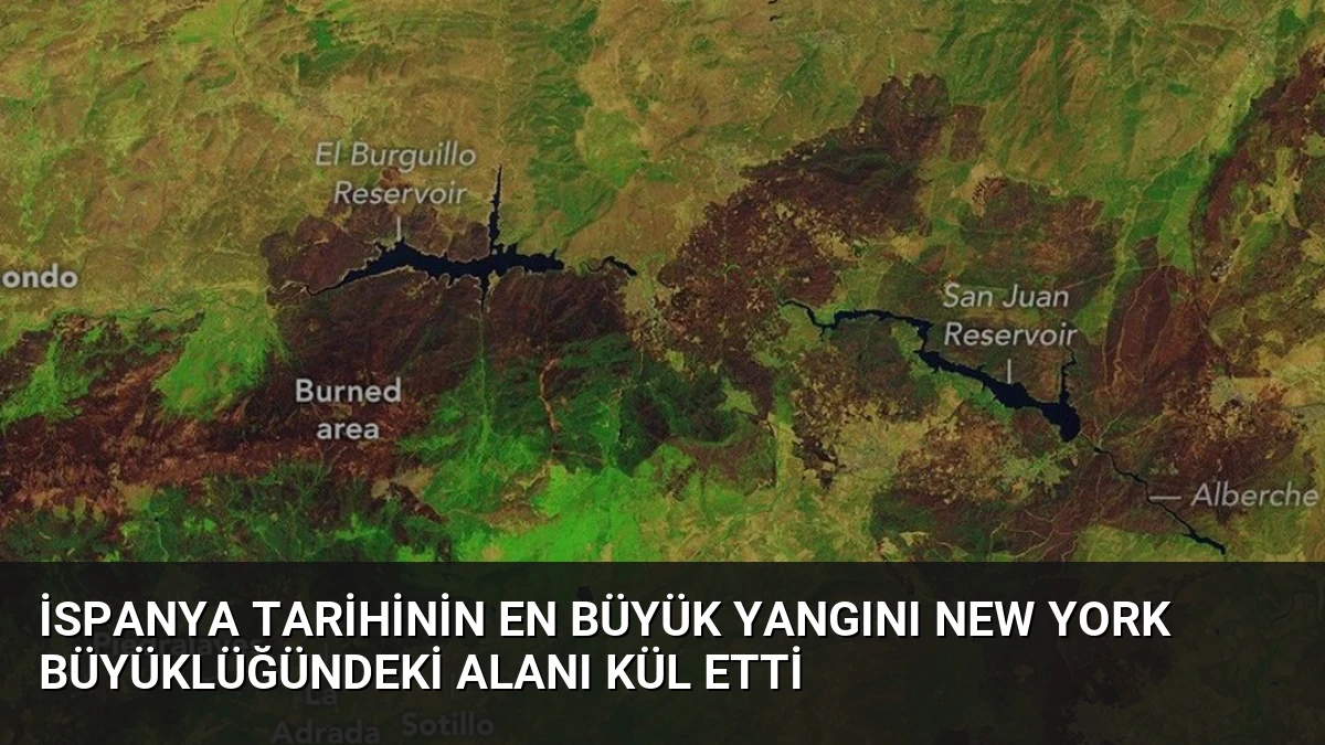 İspanya Tarihinin En Büyük Yangını New York Büyüklüğündeki Alanı Kül Etti