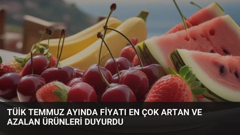 TÜİK Temmuz Ayında Fiyatı En Çok Artan ve Azalan Ürünleri Duyurdu