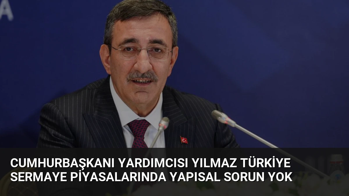 Cumhurbaşkanı Yardımcısı Yılmaz Türkiye Sermaye Piyasalarında Yapısal Sorun Yok