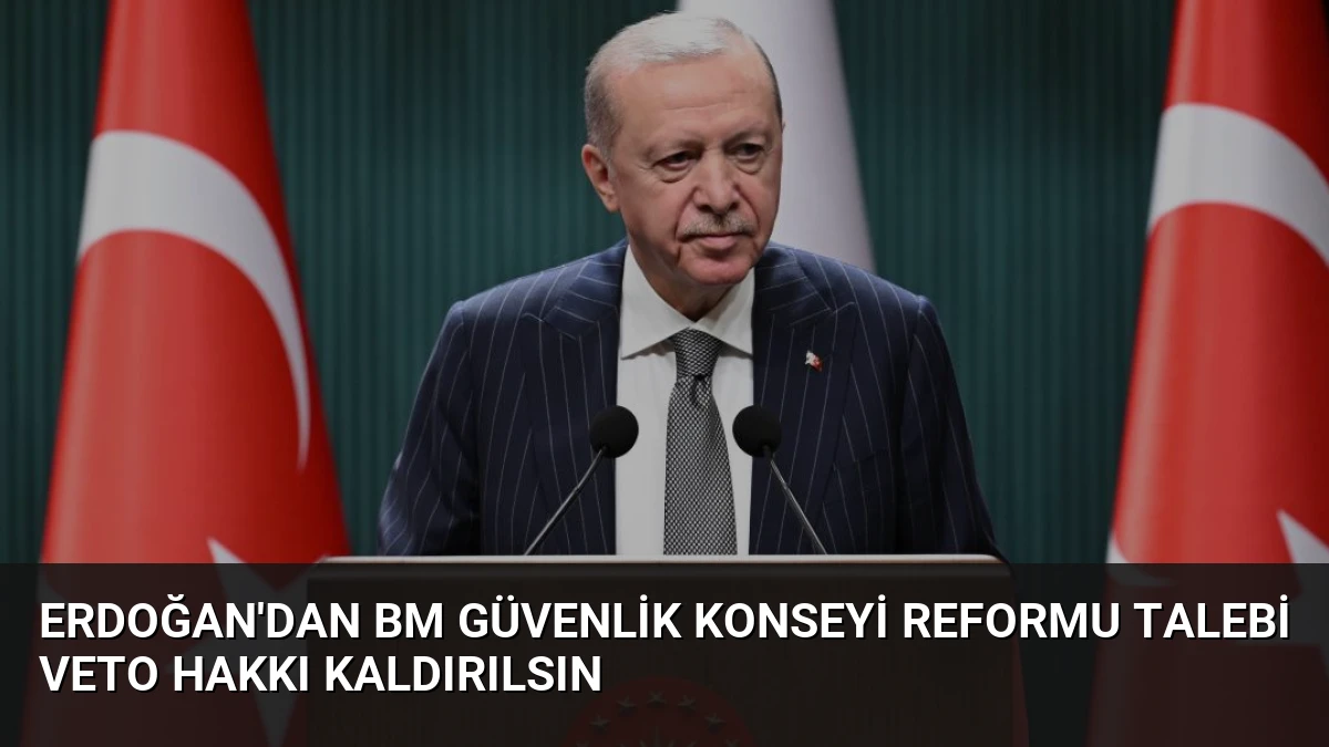 Erdoğan’dan BM Güvenlik Konseyi Reformu Talebi Veto Hakkı Kaldırılsın