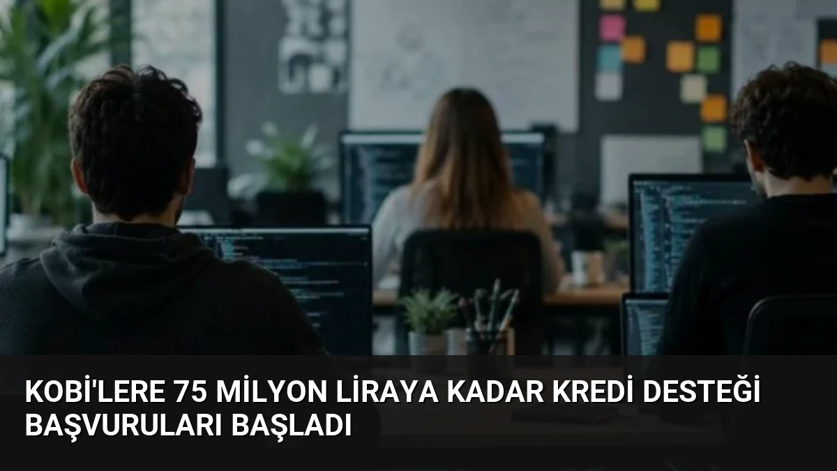 KOBİ’lere 75 Milyon Liraya Kadar Kredi Desteği Başvuruları Başladı