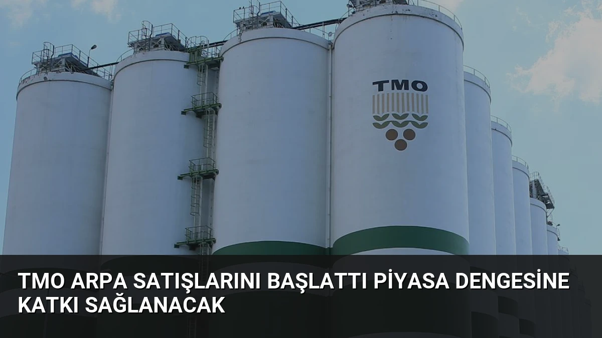 TMO Arpa Satışlarını Başlattı Piyasa Dengesine Katkı Sağlanacak