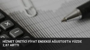 Hizmet Üretici Fiyat Endeksi Ağustos’ta Yüzde 2,87 Arttı