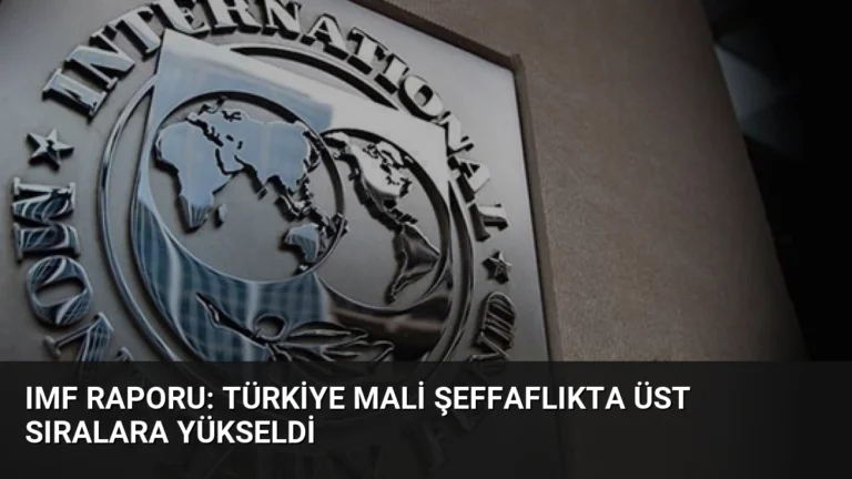 IMF Raporu: Türkiye Mali Şeffaflıkta Üst Sıralara Yükseldi