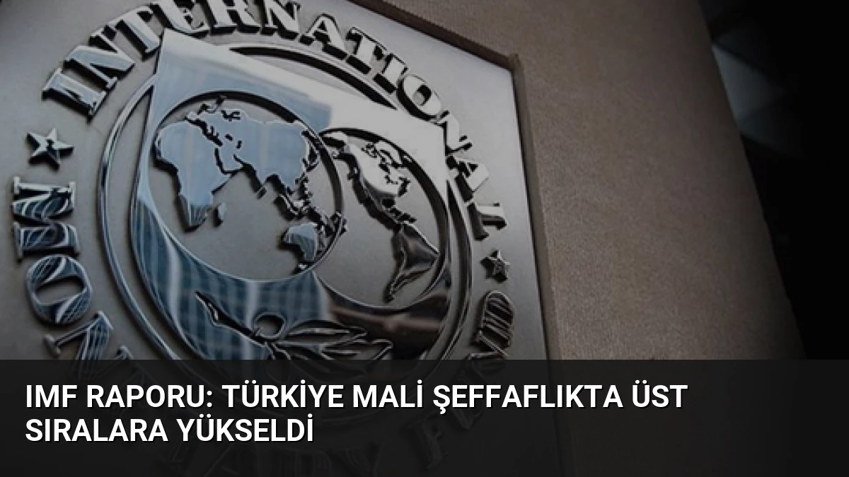 IMF Raporu: Türkiye Mali Şeffaflıkta Üst Sıralara Yükseldi