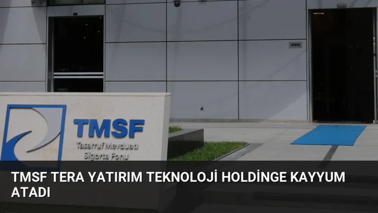 TMSF Tera Yatırım Teknoloji Holdinge Kayyum Atadı