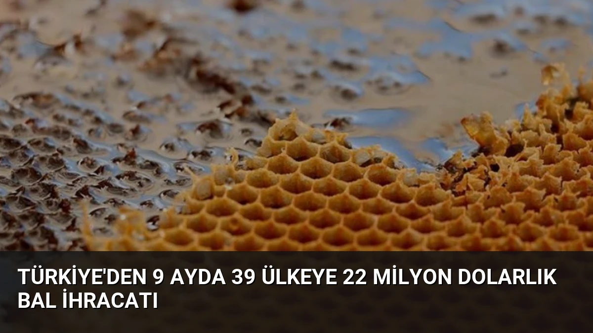 Türkiye’den 9 Ayda 39 Ülkeye 22 Milyon Dolarlık Bal İhracatı